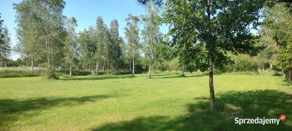 MAZURY Działka jeziorem Roś z dostępem do linii warmińsko-mazurskie Szczechy Małe