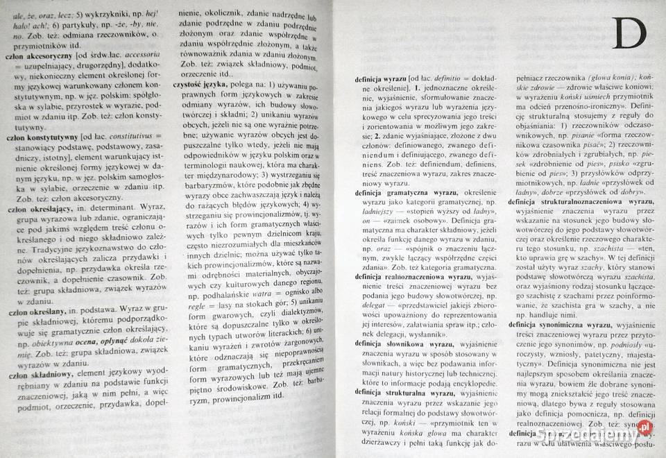 Słownik szkolny Nauka o języku Jan Malczewski Rok wydania 1990