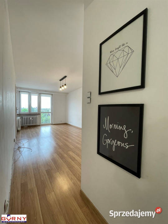 sprzedaży mieszkania Piotrków Trybunalski 585m2 sprzedam