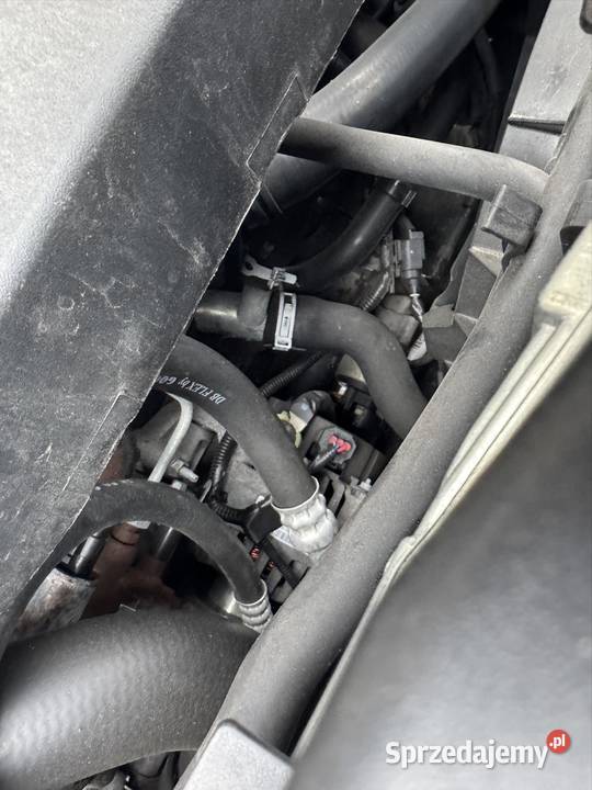 Ford C I 2008 18 Diesel Brzeszcze