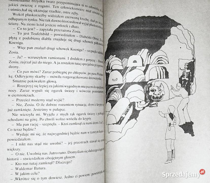 Pan Samochodzik i zagadki Fromborka Zbigniew Chełm