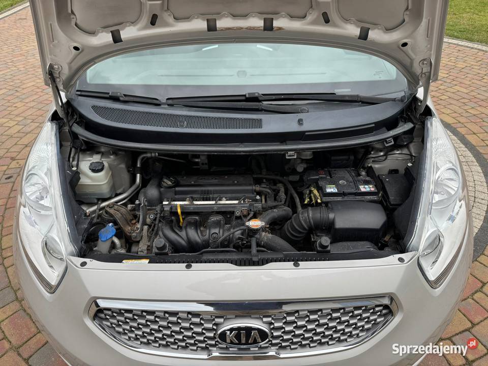 BEZWYPADKOWA BRAK KOROZJI POLSKI SALON złoty zachodniopomorskie Szczecin