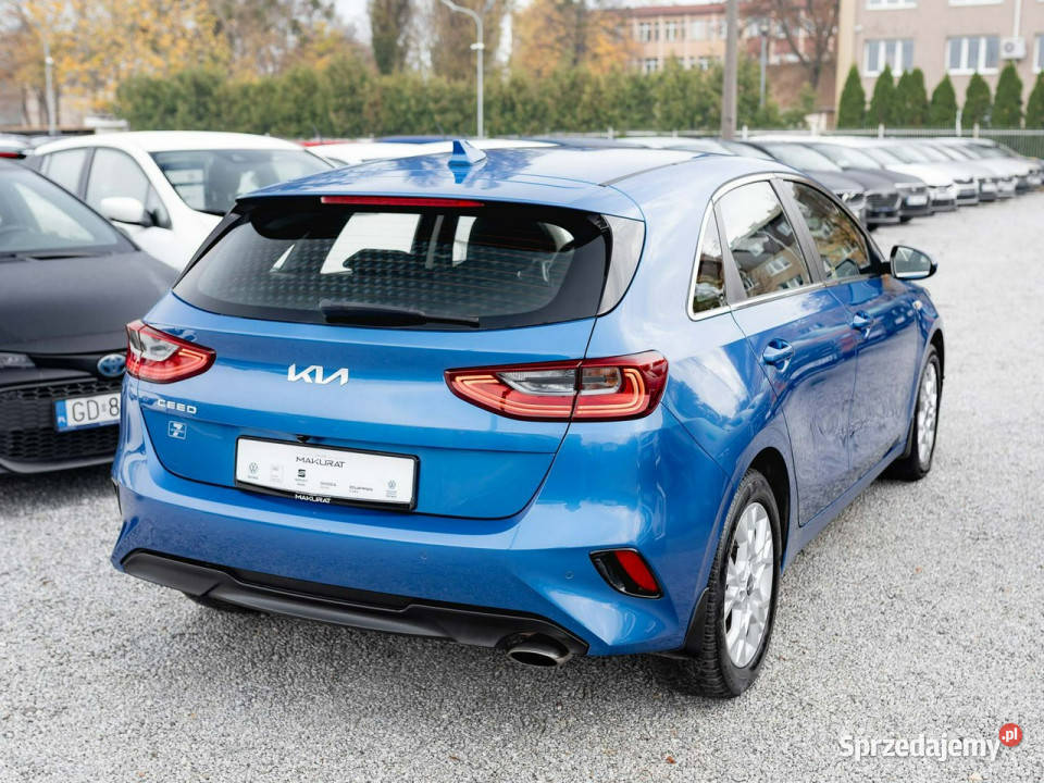 Kia Ceed WB1624Y15 TGDI M DCT 2 stref klima Kcof aluminiowe felgi pomorskie Gdańsk sprzedam