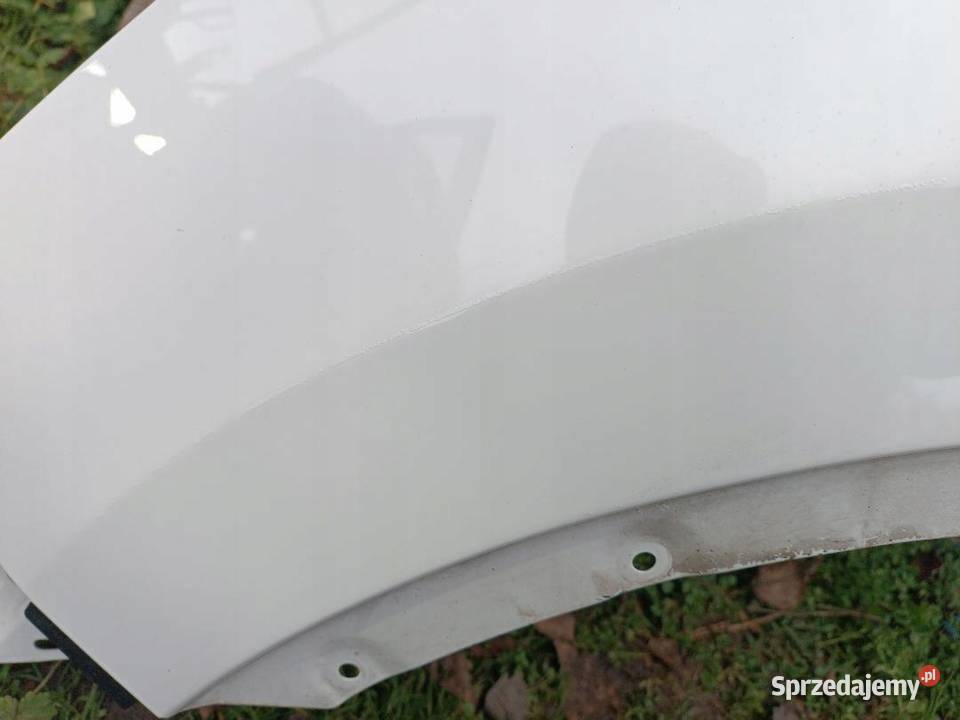 BŁOTNIK LEWY PRZÓD 326G NISSAN QASHQAI 11