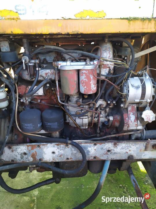 Ursus 902 Kolanowice