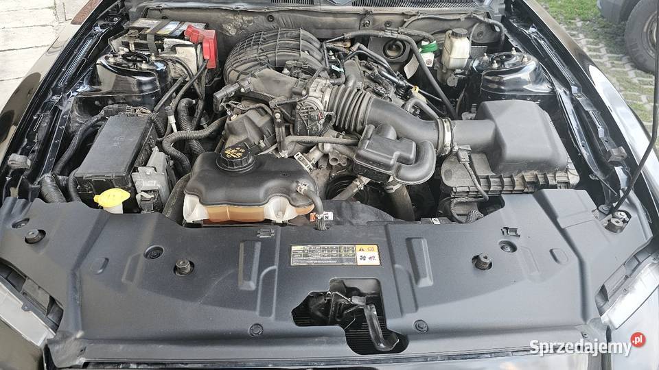 Mustang Premium 37 305 81000TKM ROUSH