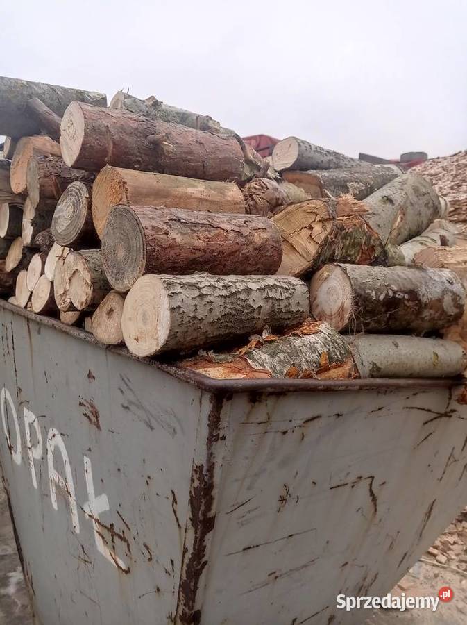 Drewno opałowe w 250 m3 Opał wielkopolskie Brzeźno sprzedam