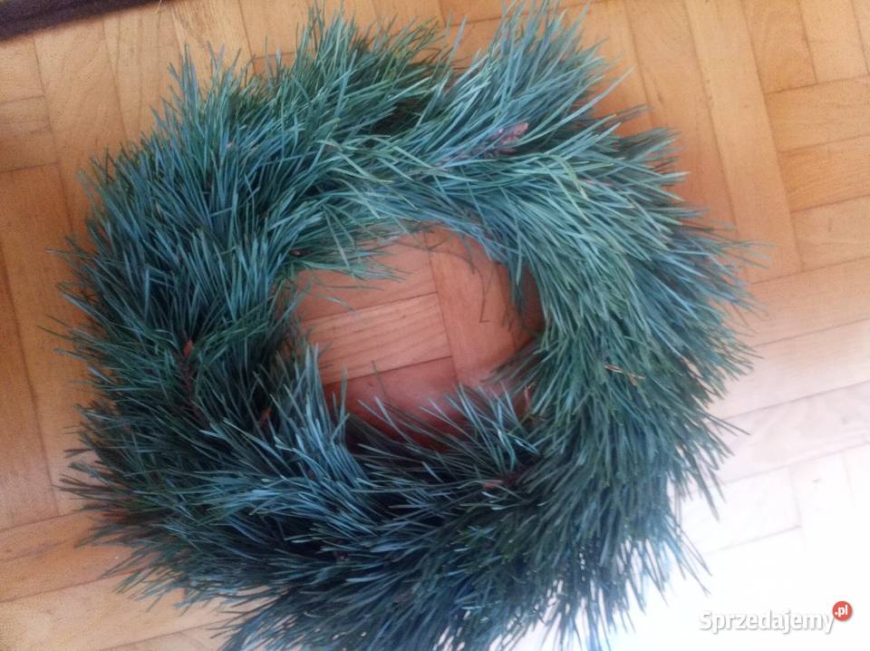 Wianki z jedliny Ropa