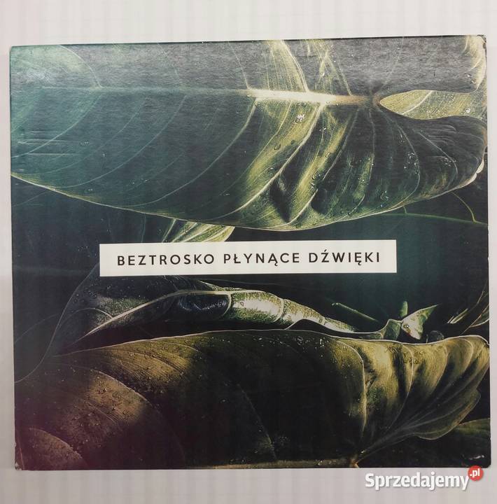 Beztrosko płynące dźwięki płyta CD muzyka Wrocław