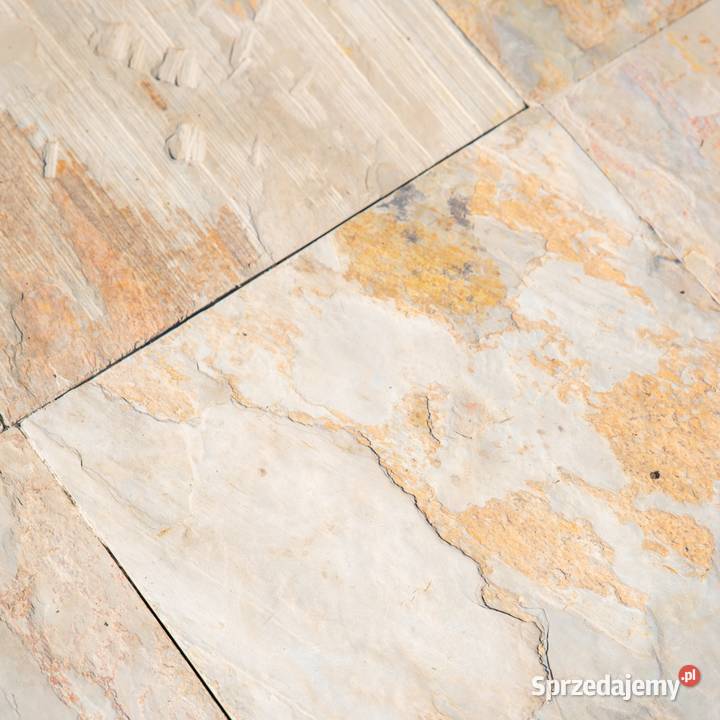 Płytki Łupek Indian Autumn Naturalny 60x40x12 Płytki uniwersalne Poznań