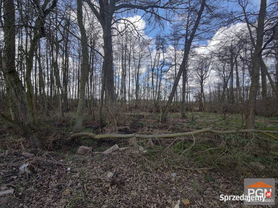 Do sprzedaży działka Wolin Boczna 6470m2