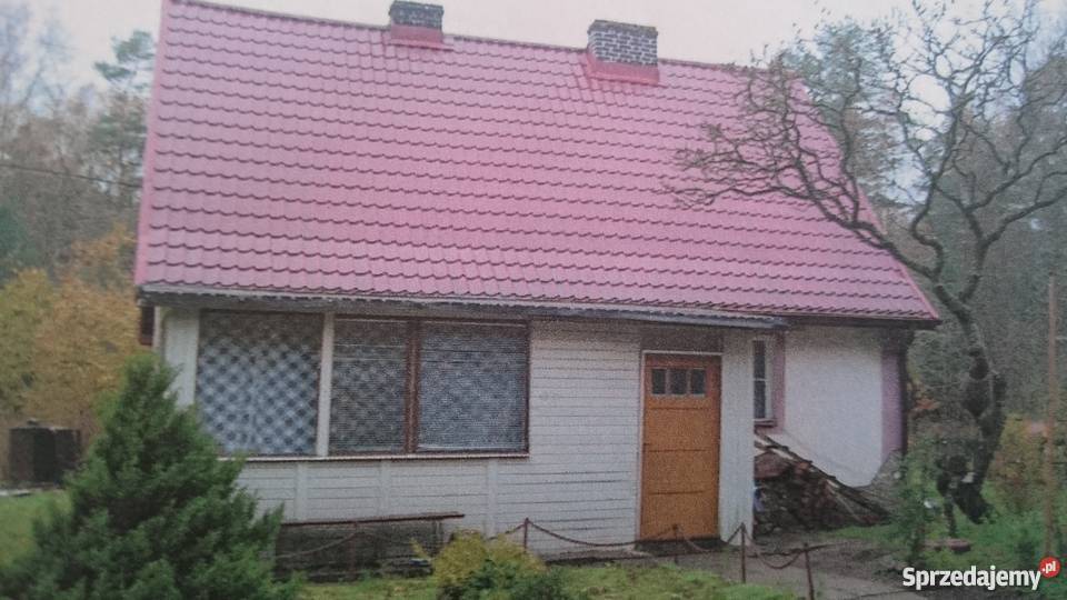 Dom wolnostojący okazja