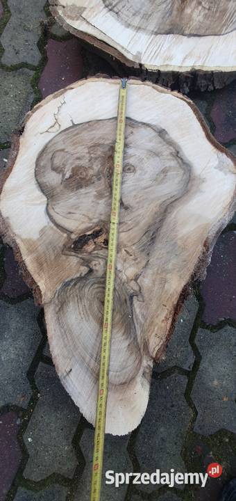 Plastry drewna orzech kujawsko-pomorskie Pakość