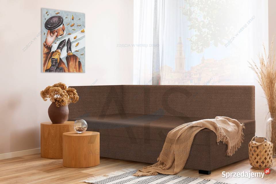WYTRZYMAŁE I TANIE Łóżko pojedyncze tapczan sofa Grójec