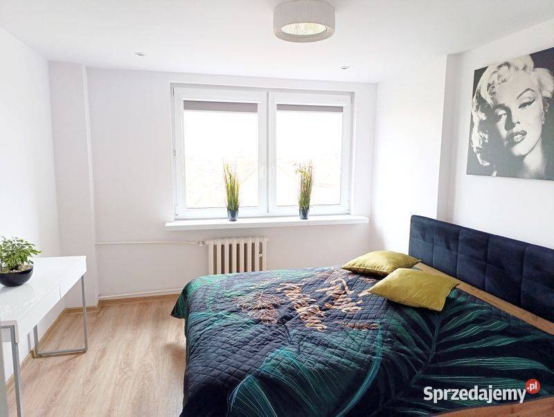 2pok 46met Wrocławskiej BALKONPIWNICA Legnica