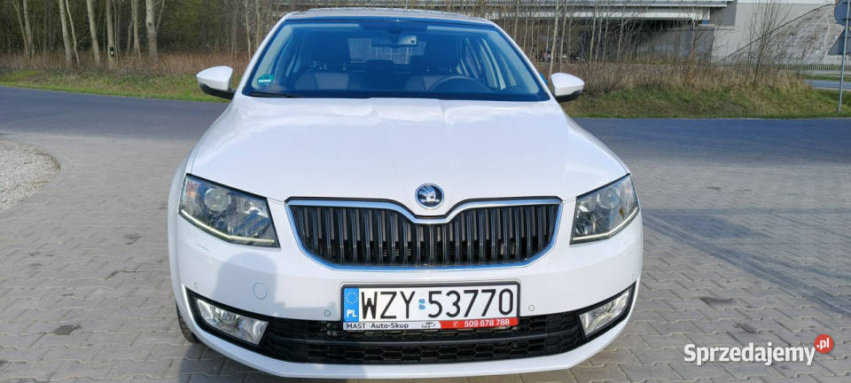 koda Octavia Bogate wyposaż 70tkm 4cylindry III Stare Budy
