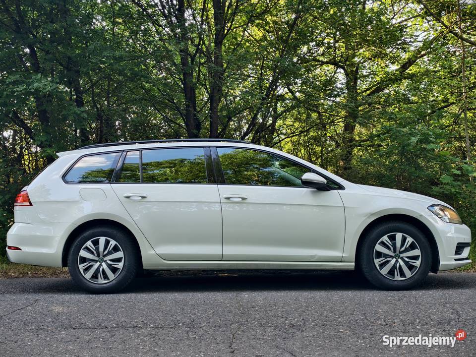 Volkswagen Golf VII 16 TDI 115KM Golf Zbąszynek sprzedam