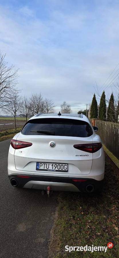Alfa Romeo Stelvio Rok produkcji 2019 Turek