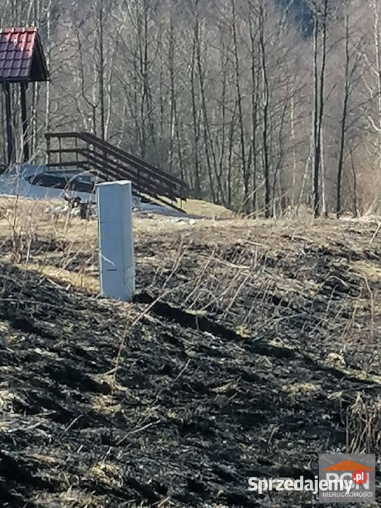 Grunt sprzedam Kocioł 1887m2 sprzedam