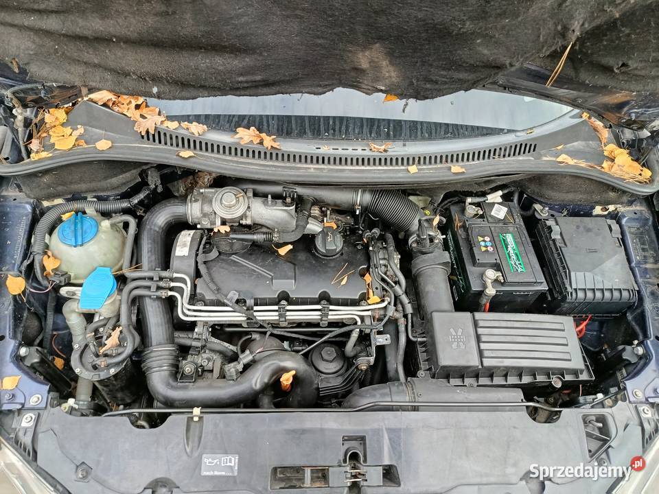 Seat Altea XL 19 77 kW 2007 r dawca części wielkopolskie Szklarka Myślniewska