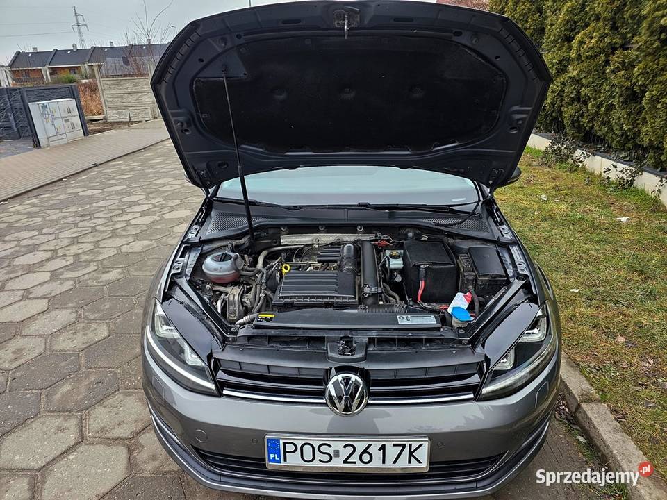 VW Golf VII 14 TSI 122 2013 r Zarej Bogate 4/5 wielkopolskie