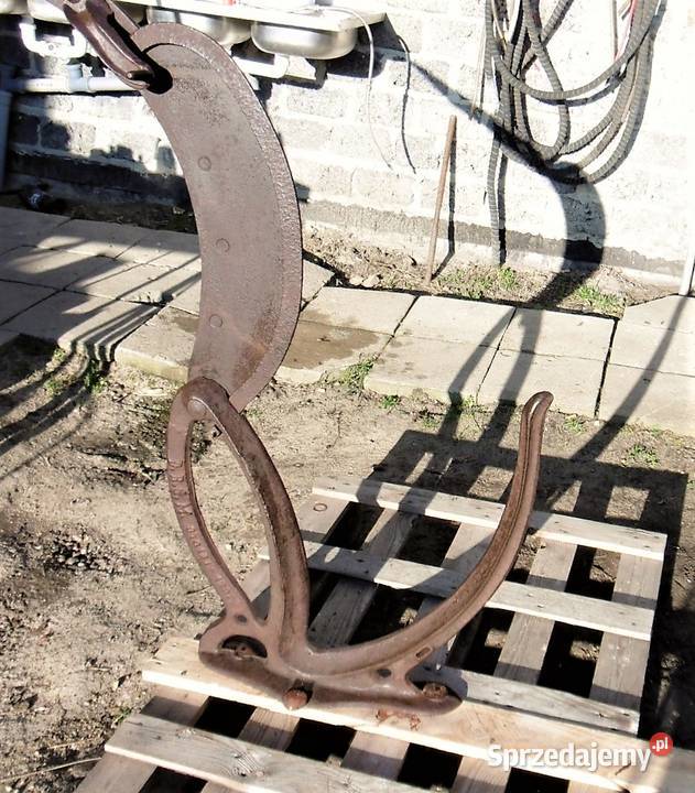 gilotyna DRGM DO SŁOMY czcina wierzba strzecha