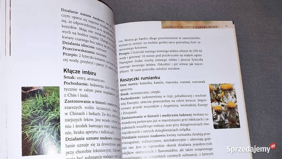 Lecznicze herbatki ziołowe Regina Sauer kujawsko-pomorskie Osięciny