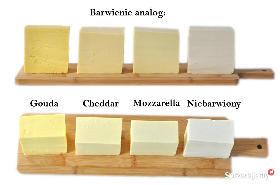 Analog sera śląskie Będzin