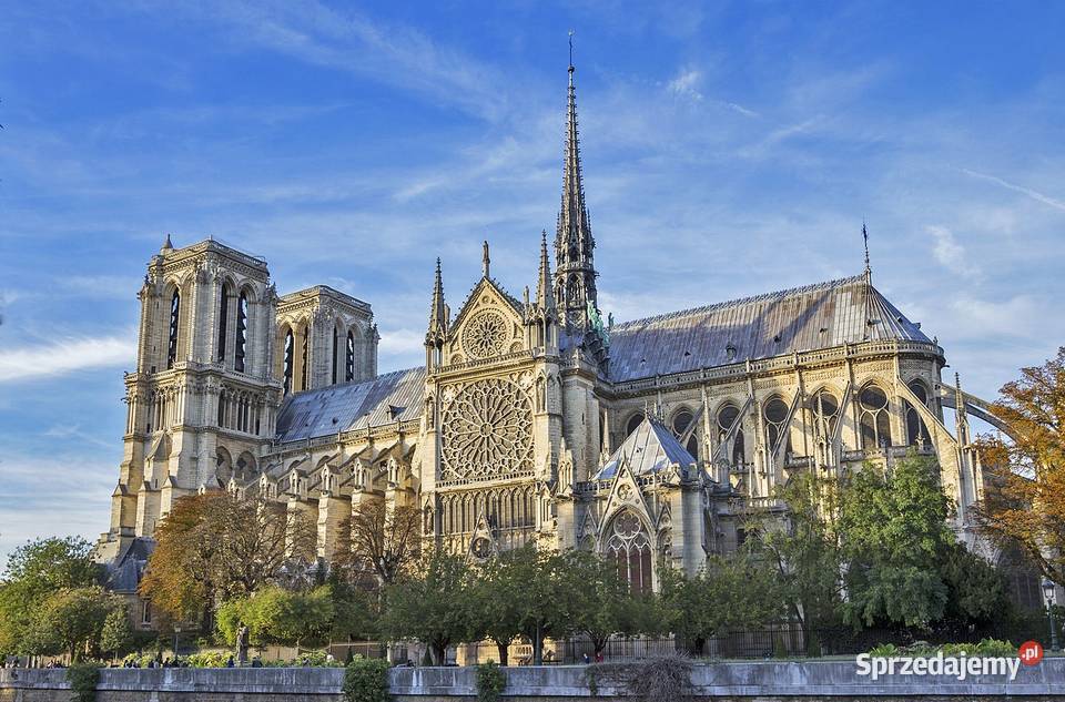 Katedra Notre Dame w Paryżu Jeśień obraz olejny mazowieckie Warszawa