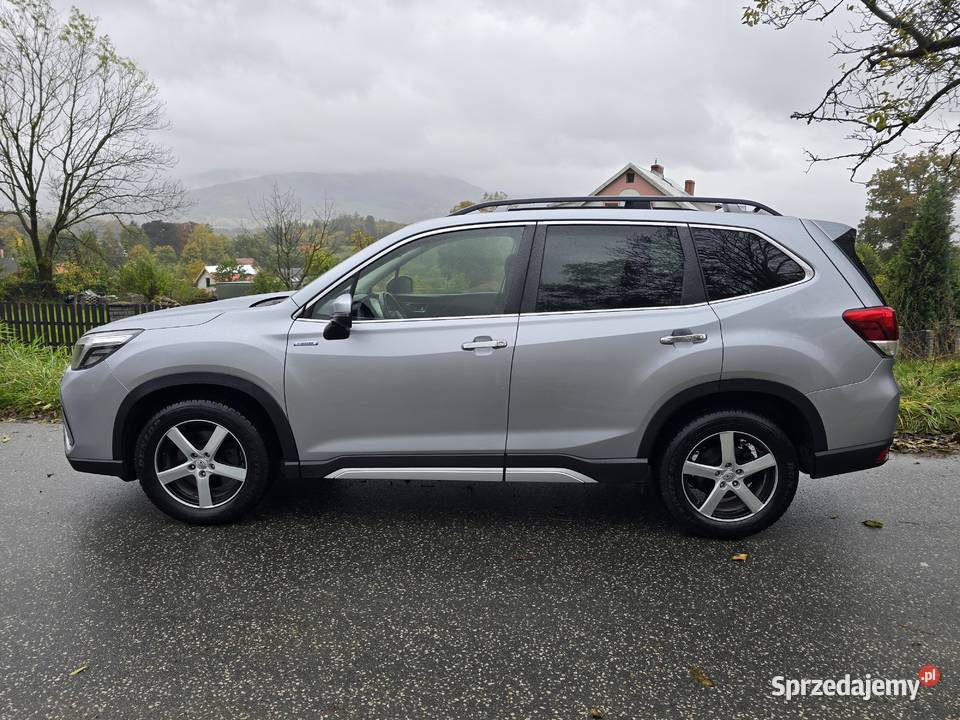 EBoxer 20 Kowary sprzedam