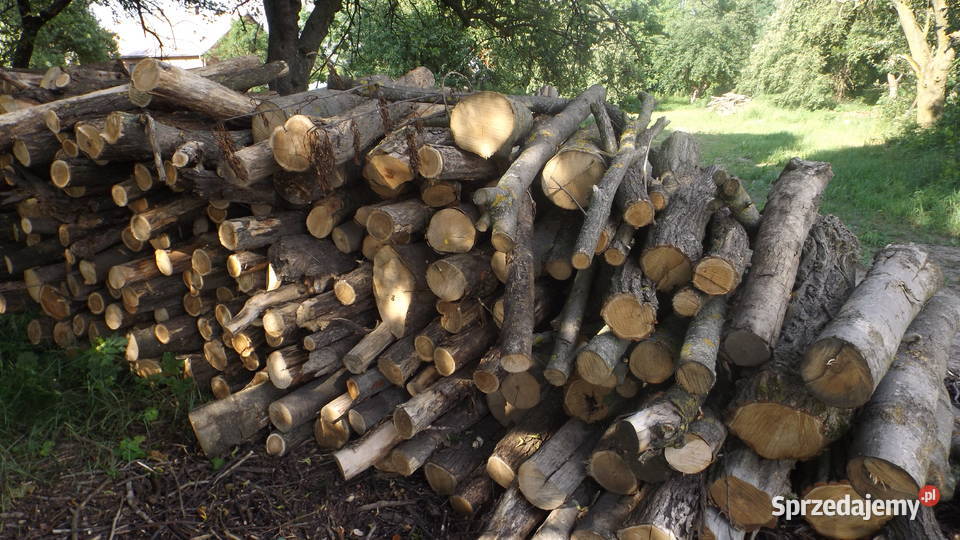 Drewno opałowe jesion i akacja suche