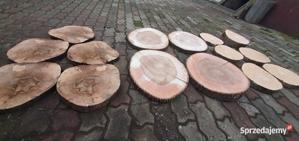 Plastry drewna Pakość