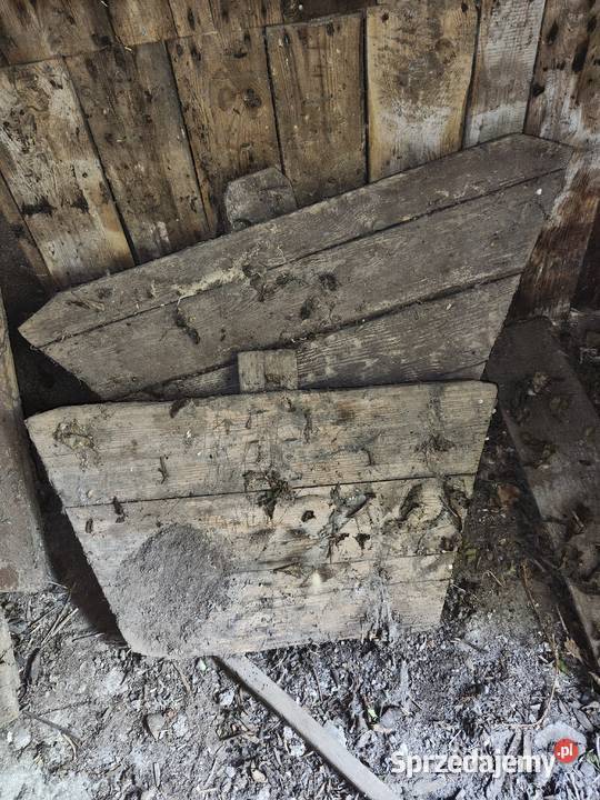 Burty wozu konnego Kampinos
