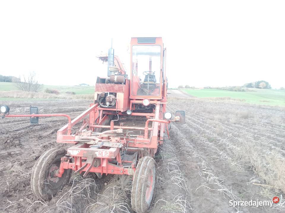 Amac Zm 2 kombajn do ziemniaków samojezdny Bytom Odrzański