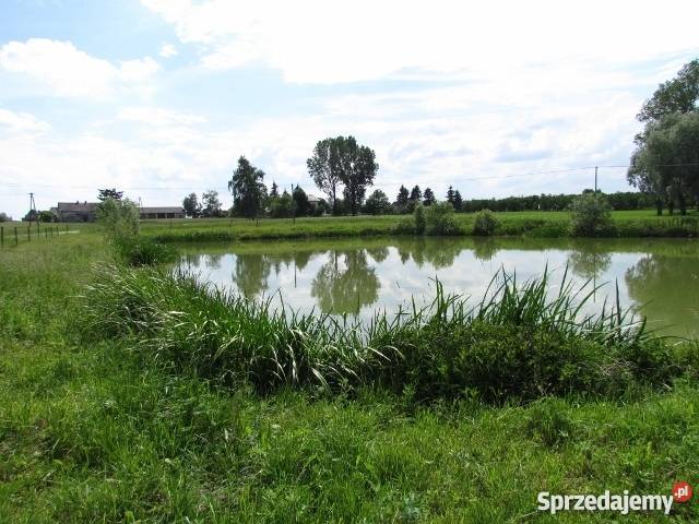działka ze stawem Płońska 60 Wawa mazowieckie