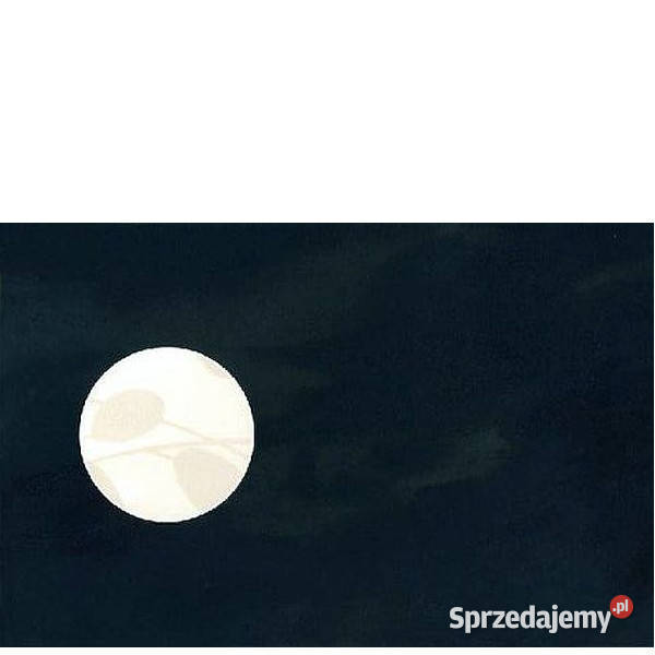 Dekor Hiroe nero Wycinane 25 x 40 Paradyż zachodniopomorskie