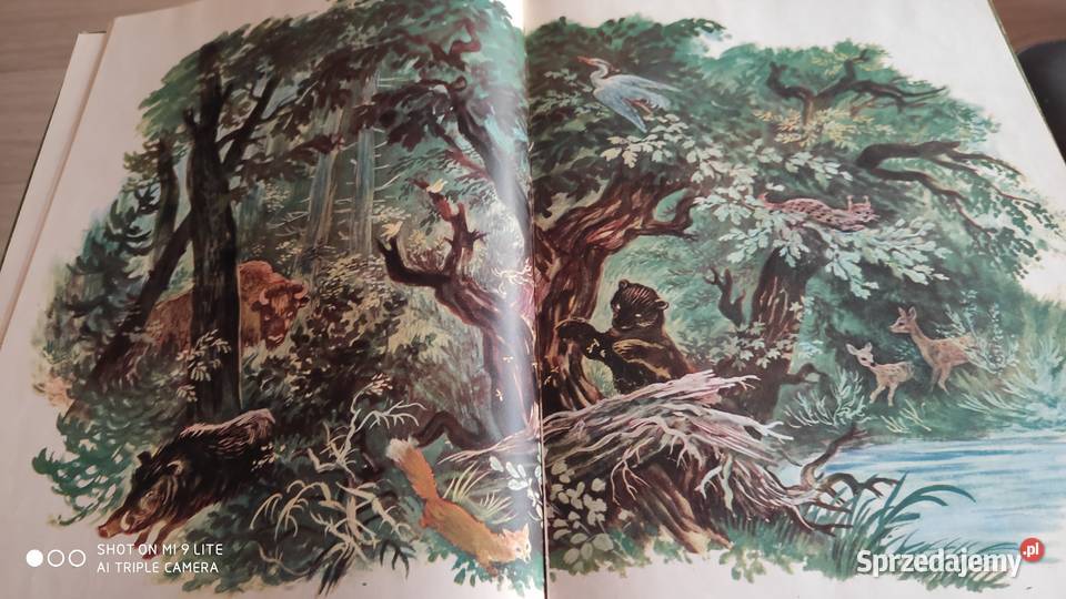 Syrena Warszawska legenda twarda Książki dla dzieci pomorskie Gdańsk