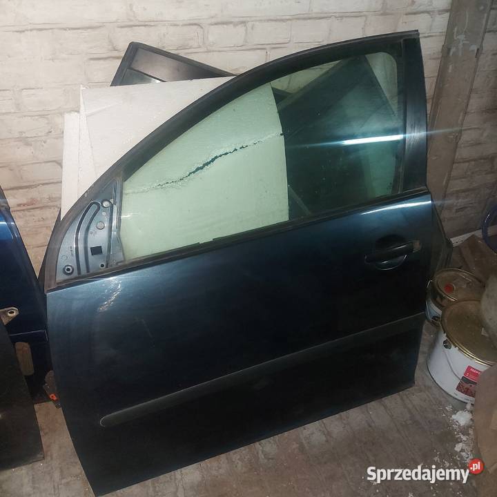 VW GOLF V 5 DRZWI LEWE PRZÓD Poznań sprzedam