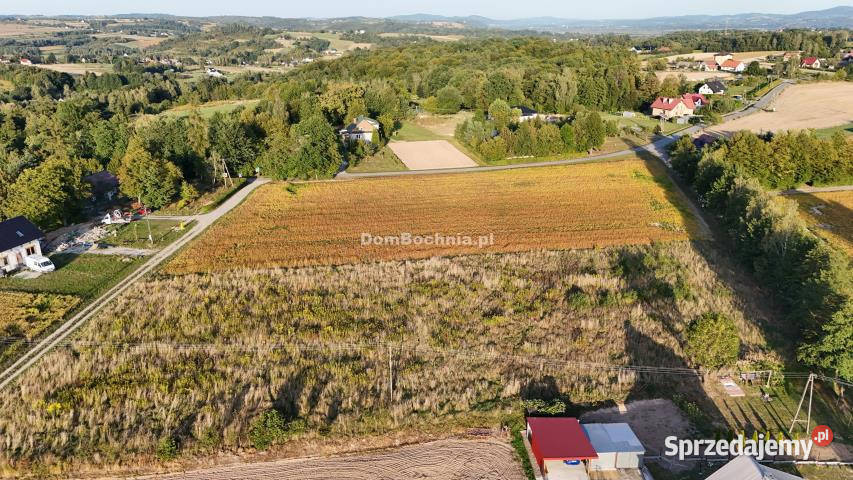 Ogłoszenie działka 1401m2 Tworkowa Sprzedaż