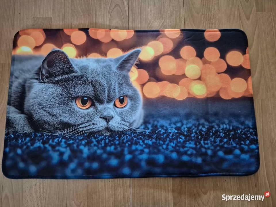 Dywanik wewnetrzny wycieraczka Sapowice