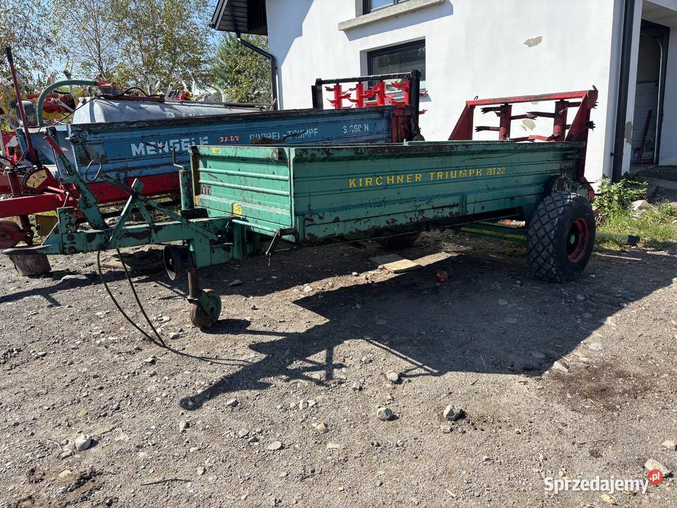 Rozrzutnik obornika górski Męcina