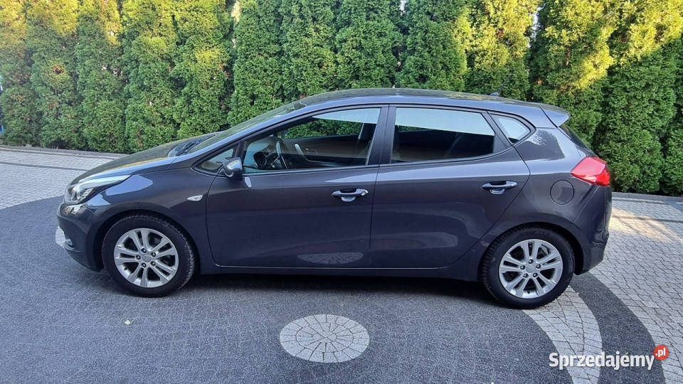 Kia Ceed 6 Bieg Pakiet Zima Super Stan GWARANCJA 4/5 Płońsk sprzedam