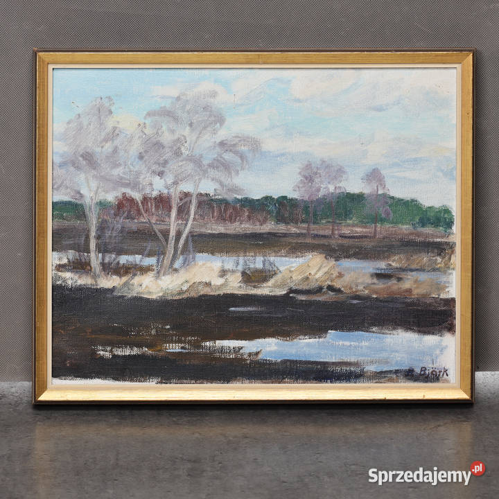 ARTexpert Obraz na płótnie R Bjrk roztopy Dobrzany