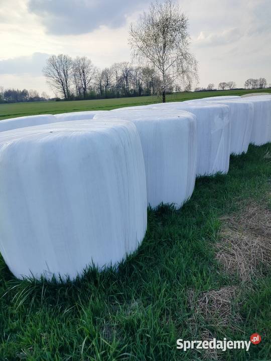 Sprzedam Sianokiszonke 691772042