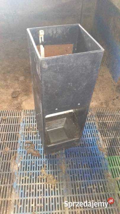 paśnik automat paszowy tuczników macior łódzkie Dąbrówka Duża