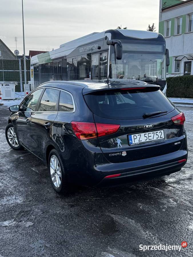 Kia Ceed 2016 16 Crdi 136 Motoryzacja Lędyczek