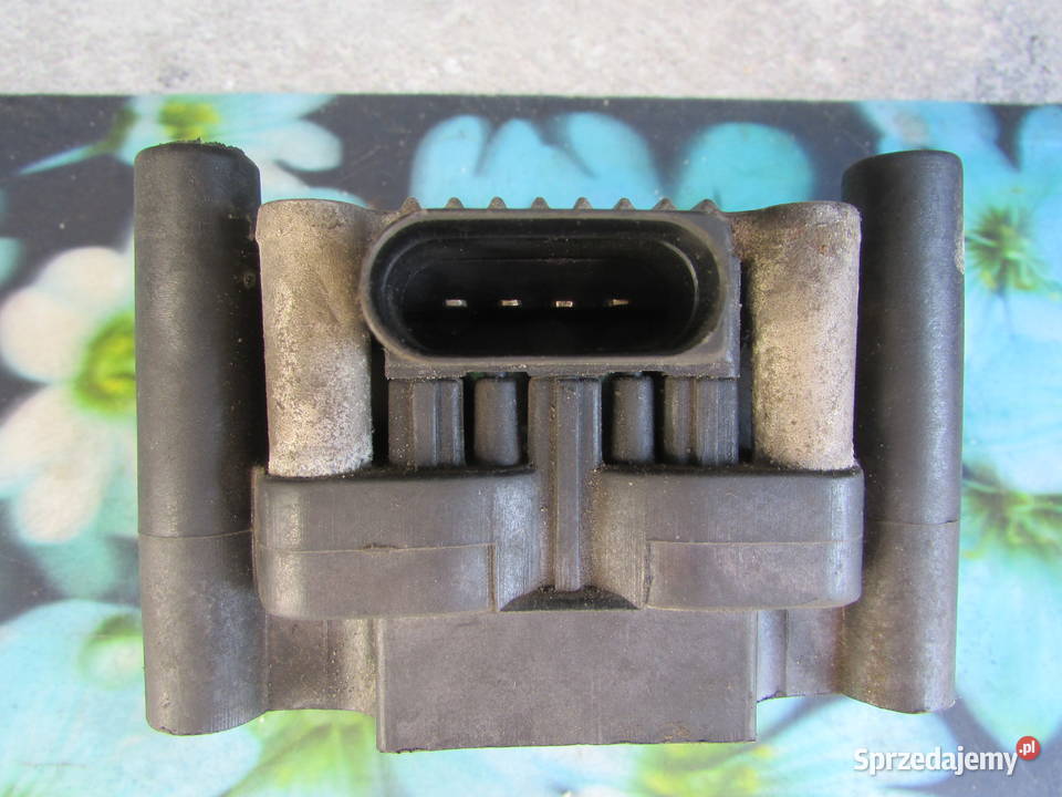 Cewka 109 310 101011 311740 opolskie Bogacica