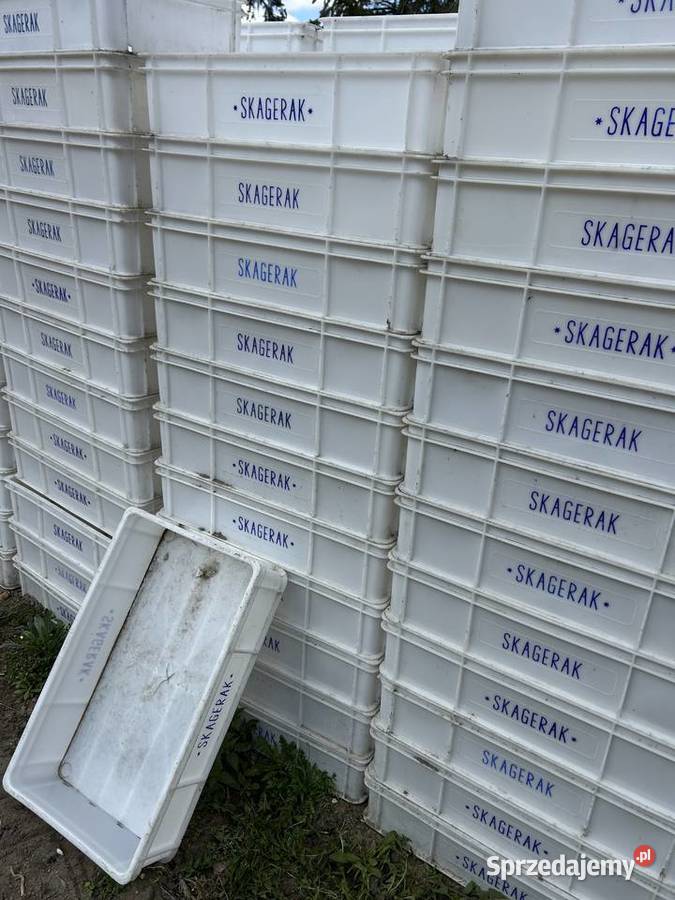 Skrzynie na rybyskagerak Kaniczki