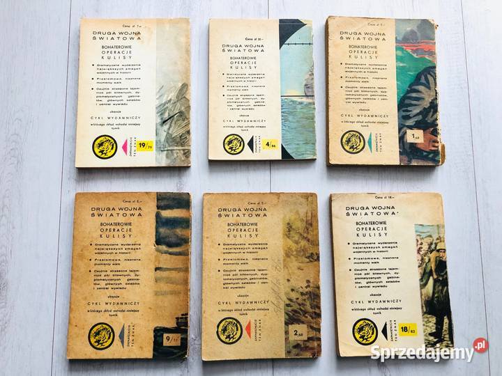 Książka Druga Wojna Światowa Seria Żółty tygrys Łódź