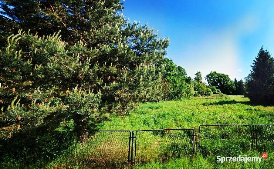 Kameralna działka budowlana budowlana Jędrzychów sprzedam